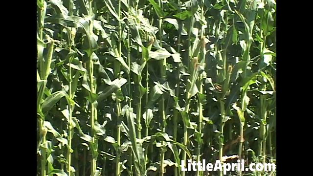 L'aphrodisiaque Petite Blonde et Little April - pornographie hd - Little April