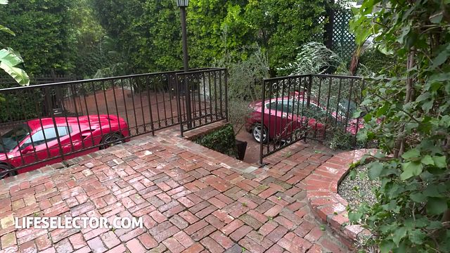 Stella's cowgirl movie